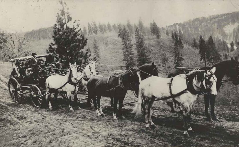 Six Horse Mt Hood Area Sightseeing Carriage Photo