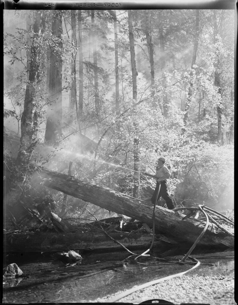 A firefighter mans a hose in the forest near Mount Hood Oregon. 