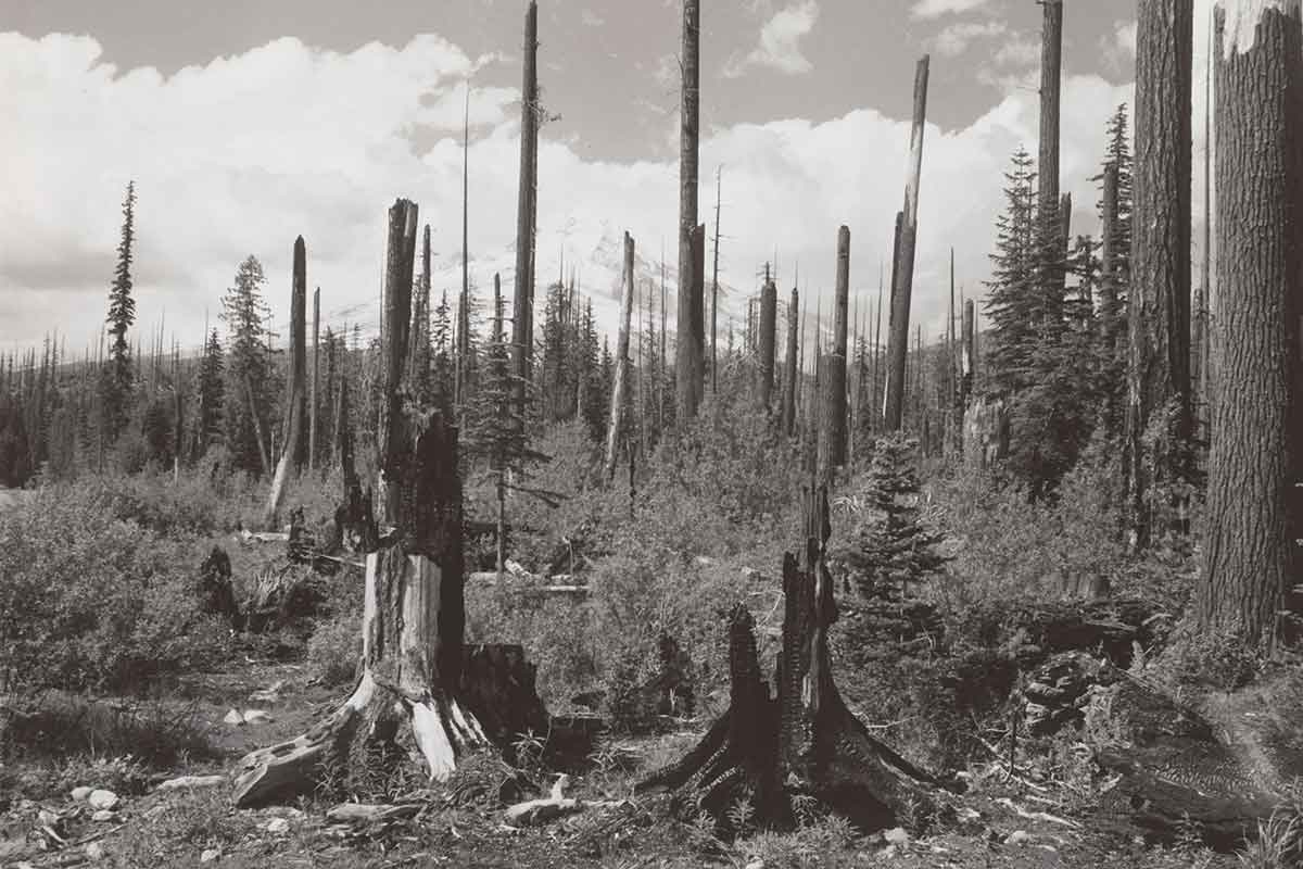 Burnt Lake Fire 1904: How the Lake Got Its Name - Mount Hood History