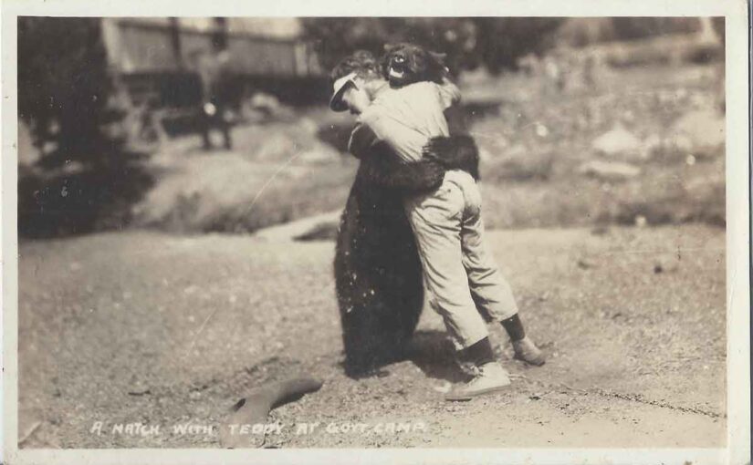 Government Camp Bears: Mount Hood’s Forgotten Mascots